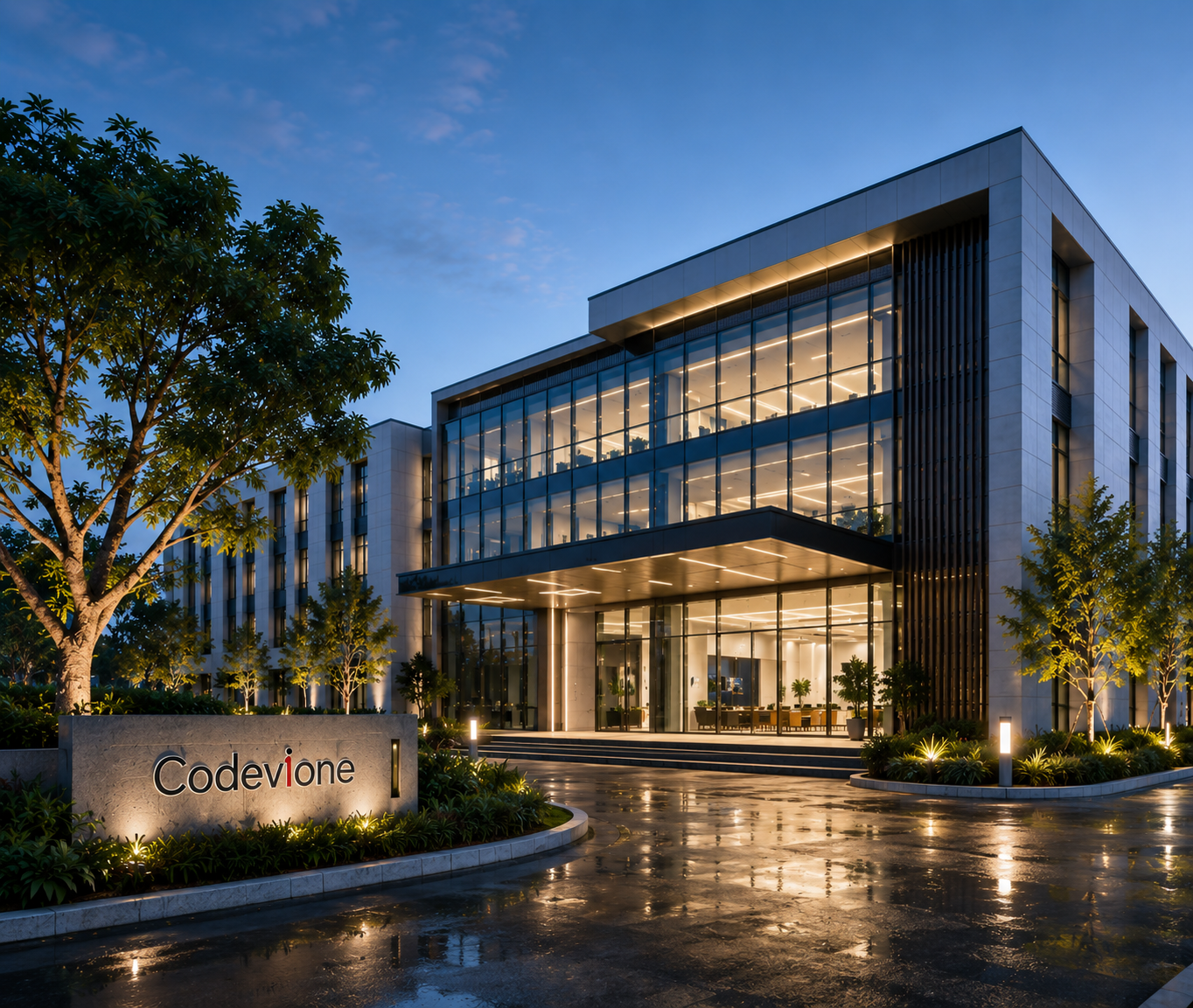 Codevione company building concept
